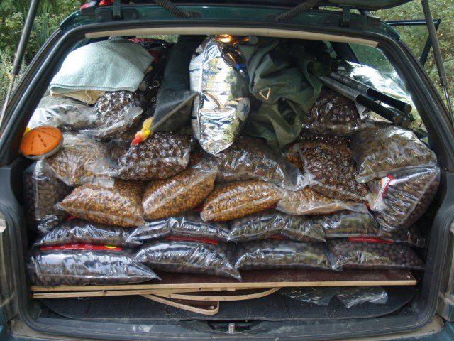 Funny fishing :) 2 - 549846434936999923009460262097n.jpg